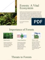 Forests A Vital Ecosystem