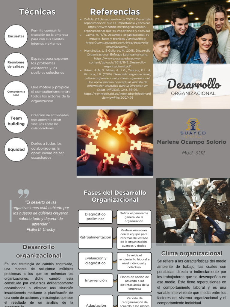 Desarrollo Organizacional | PDF | Planificación | Business