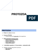 Para 311 Lec Week 3