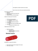 Muscular-Endocrine 1