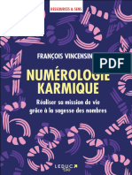 François Vincensini - Numérologie Karmique