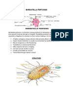 Bordatella Pertussis