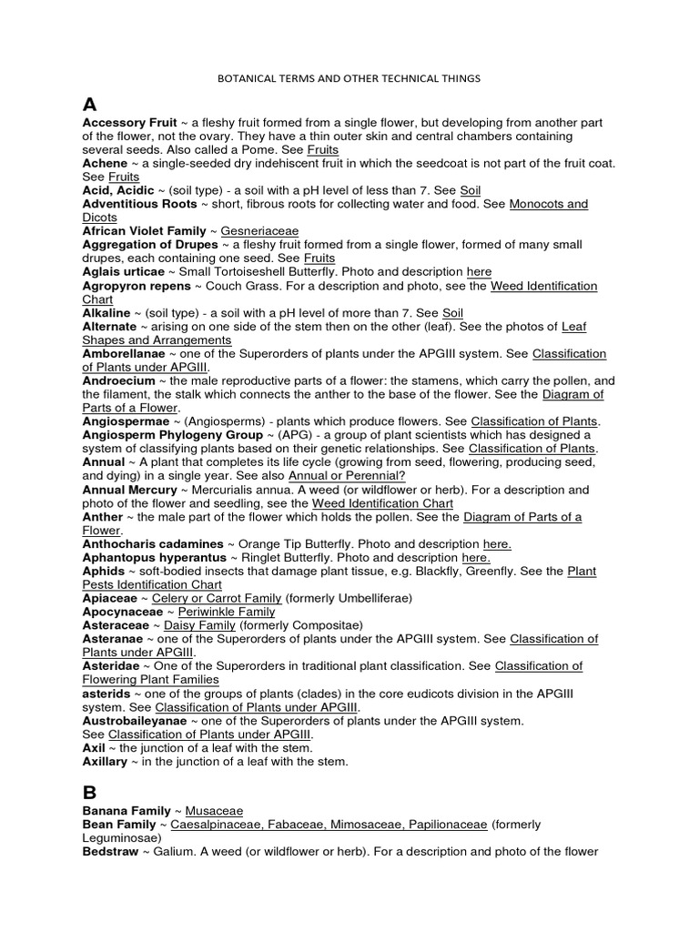 Botanical Terms and Definitions Guide | PDF | Flowers | Seed