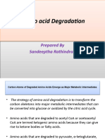 Amino Acid Degradation