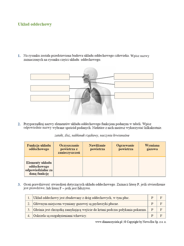 Uklad Oddechowy Karta Pracy | PDF