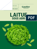 Lettuce 2023-2024 Booklet