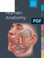 Kenhub Atlas of Human Anatomy 2023