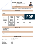 Resume - Sheikh Faizan - Format7