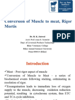 Conversion of Muscle To Meat