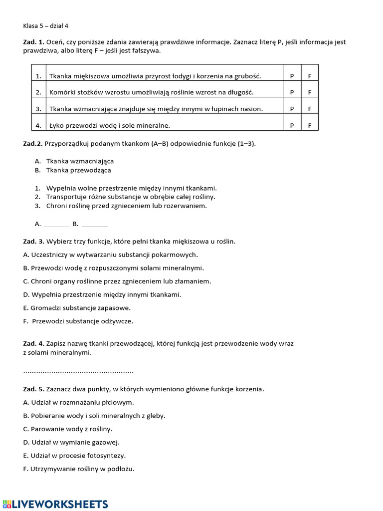 Klasa 5 - Dział 4 | PDF