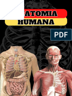 ANATOMIA