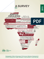 The Africa Survey 2013