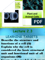 Science 7 - Module 2 3-Cell Structure-2