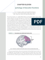 Neuropsych3e Ch11