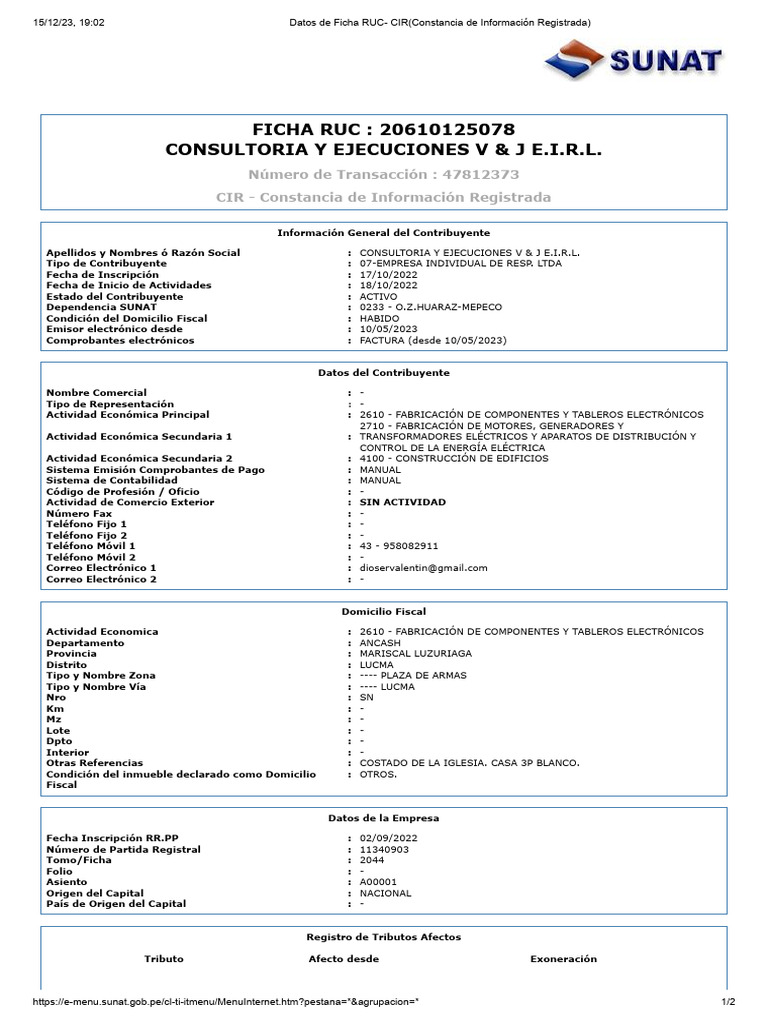 ficha-ruc-vj-0-pdf-industrias-de-servicio