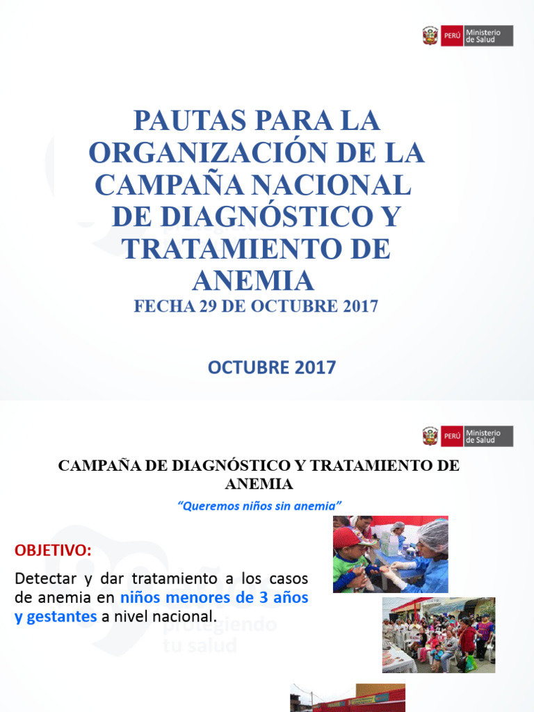 Campaña Nacional contra la Anemia | PDF | Anemia | Farmacia