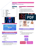 Urinary System