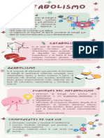 Infografía Metabolismo