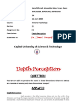 INTRO TO PSYCHOLOGY Assignment No 4 (Depth Perception)