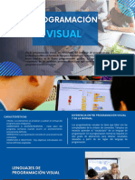 Programacion Visual PDF