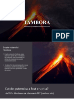 Tambora