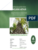 TreeCertificate656454 ARBRE PLANTE