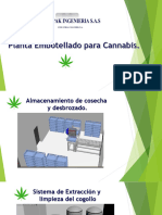 Planta Embotellado de Cannabis