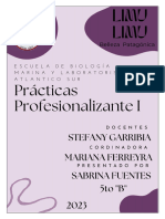 Informefinal Practicas Profesionalizantes I - Sabrina Fuentes 5B Final