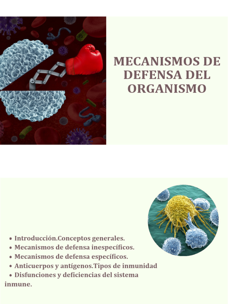 Mecanismos de Defensa Inmunitaria | PDF | Linfocitos | Sistema inmune