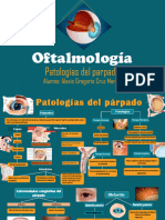 Patologias Del Parpado