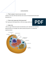 Anatomy Question Assignment