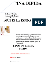 Espina-Bifida - 20231120 212253 0000