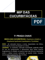 MIP Curcubitaceas