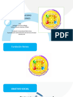 Analisis Financiero Fundacion Reines