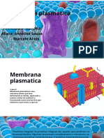 Membrana Plasmatica - 20240211 - 184436 - 0000