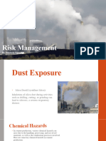 Risk Factors in Cement Production