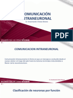 C1 Comunicación Intraneuronal