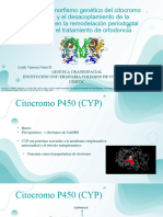 Papel Del Polimorfismo Genético Del Citocromo P450 2C8