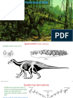 08 Hadrosauridae