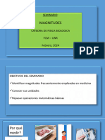 Seminario Magnitudes