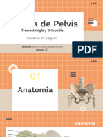 Fractura de Pelvis