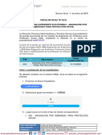 Dpayt 02-2023 Sieel - Sistema Expediente Electrónico - Asignación Por Embarazo para Protección Social