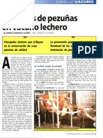 Cuidado de Pesuñas en Lecheros