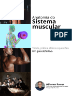 Sistema muscular (amostra grátis) @will.anato