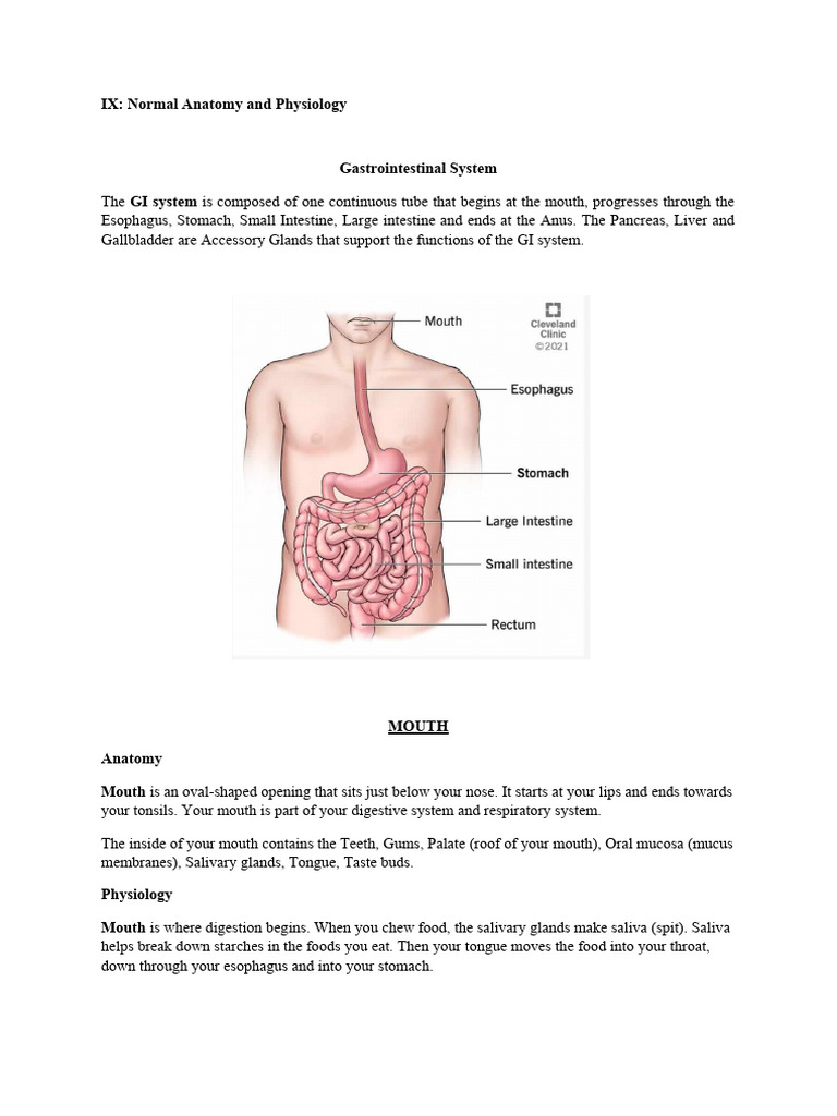 Inbound 2089229092355346632 | PDF | Large Intestine | Gastrointestinal ...