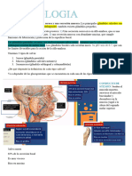 Fisiologia Salival y Esofagica