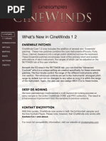 CineWinds 1.2 Manual English