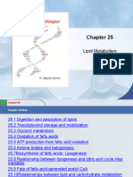 Lipids Metabolism