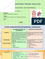 Cuadro Comparativo CI Y AO