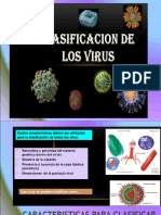 Clasificación de Virus